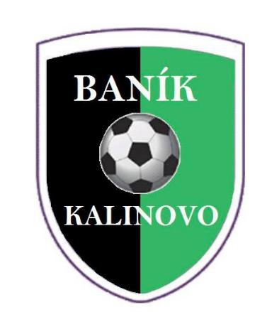 TJ Baník Kalinovo
